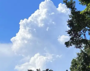 达州天气预报,达州7天天气预报,达州15天天气预报,达州天气查询